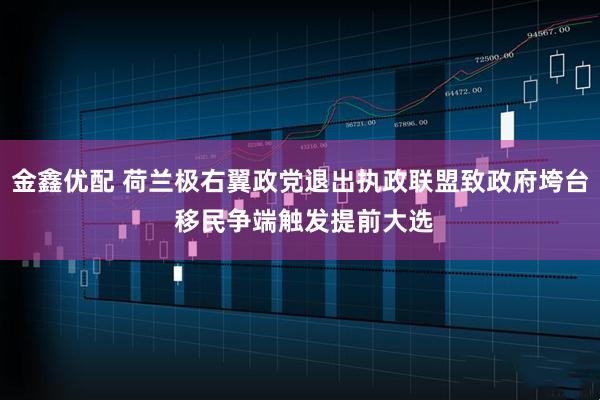 金鑫优配 荷兰极右翼政党退出执政联盟致政府垮台 移民争端触发提前大选