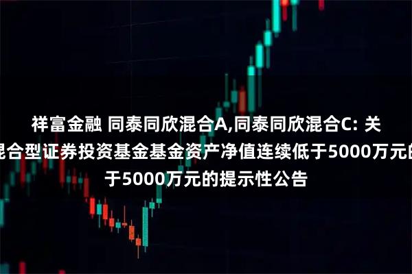 祥富金融 同泰同欣混合A,同泰同欣混合C: 关于同泰同欣混合型证券投资基金基金资产净值连续低于5000万元的提示性公告