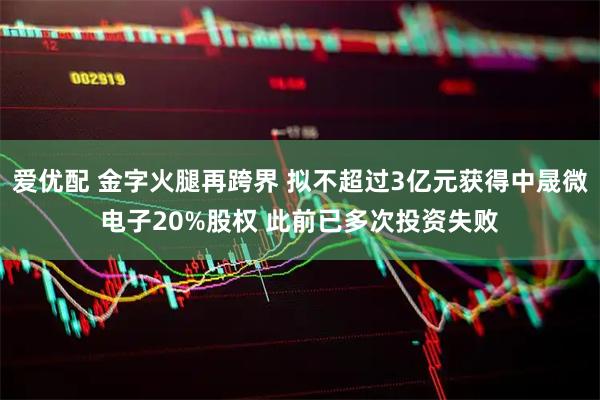 爱优配 金字火腿再跨界 拟不超过3亿元获得中晟微电子20%股权 此前已多次投资失败