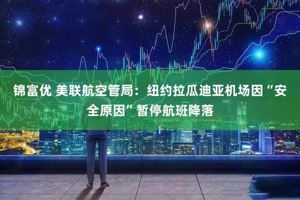 锦富优 美联航空管局：纽约拉瓜迪亚机场因“安全原因”暂停航班降落