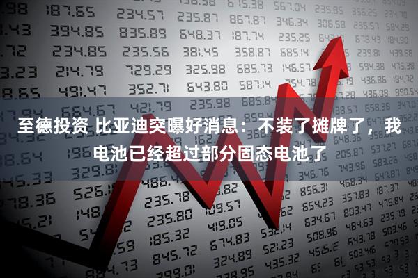 至德投资 比亚迪突曝好消息：不装了摊牌了，我电池已经超过部分固态电池了